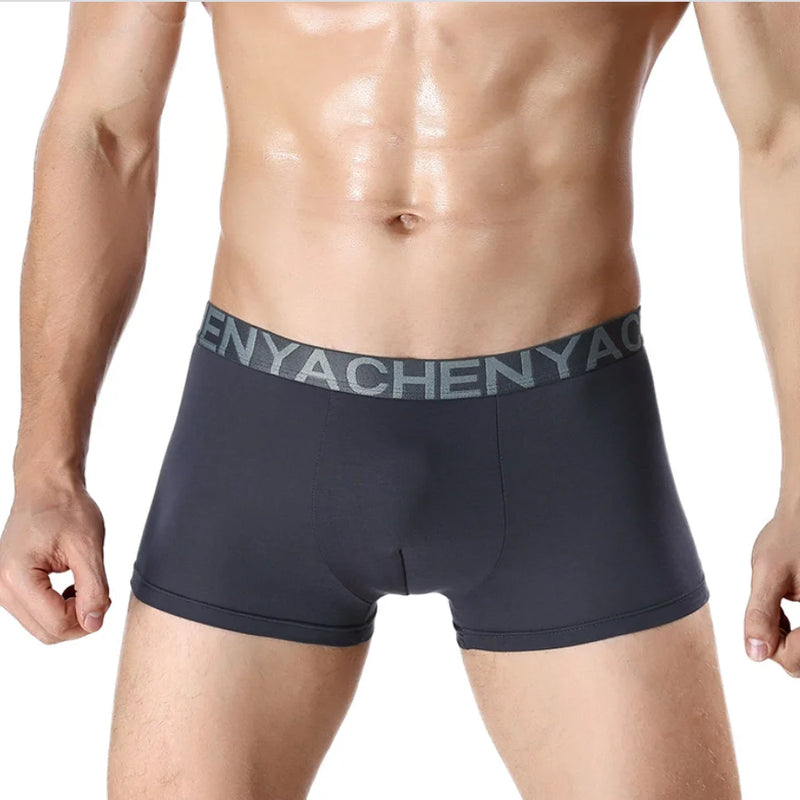 Bamboo Male Panties Sexy Underwear Men Cuecas Boxer New Fashion Boxer Shorts Mens Underware 4pcs/lot Free Shipping