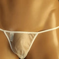 Men Sexy Panties Ultra-thin Mesh Lingerie See Through Scrotum Bulge Panties Erotica Gay Underwear  T Library Briefs G-String
