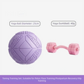 25 CM Abdominal Pressure Ball Anti Burst Slip Resistant Yoga Pilates Ball Inflatable Thickened Fitness Balance Ball