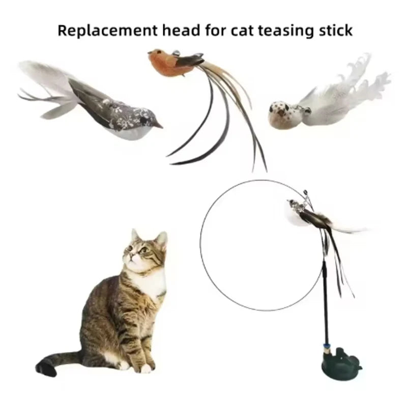 Cat toys cat self-sexy feather suction cup teasing cat stick with bell bird replacement head resistant to bite pet cat dog toys