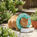 Anti Licking Pet Elizabethan Collar Soft Comfortable Cat Protective Collar Breathable Anti Scratch Anti Bite Collar
