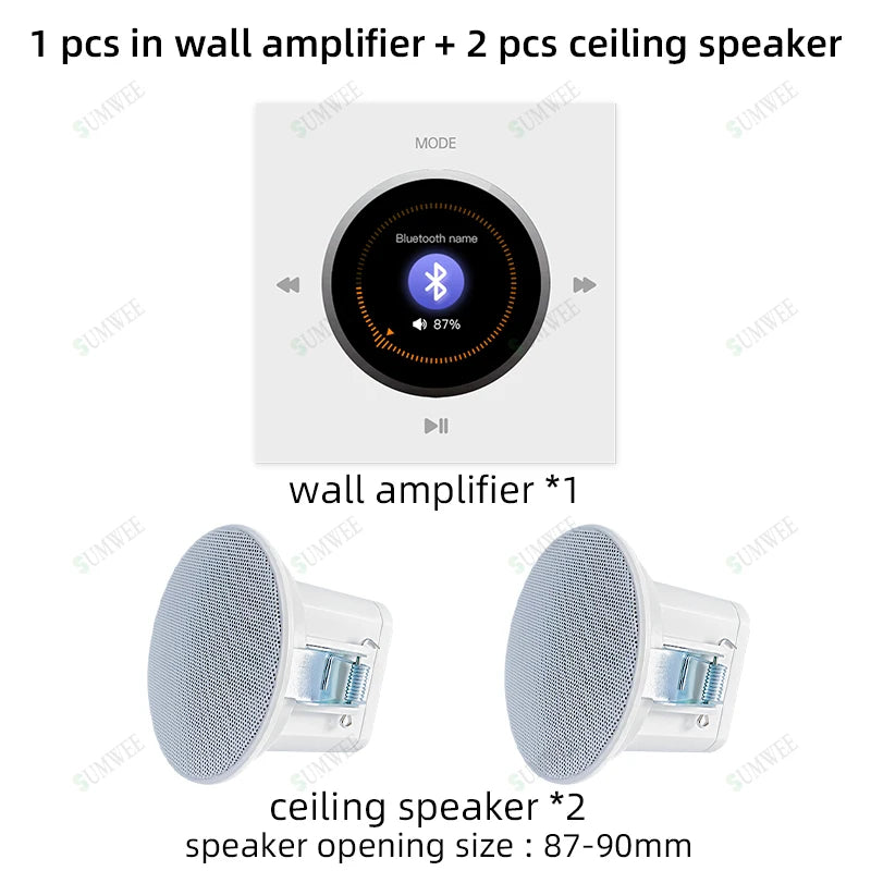 Bluetooths in Wall Amplifier Mini Stereo Home Theater Sound Systems Audio FM Radio AUX Hotel Power Amplificador Ceiling Speakers