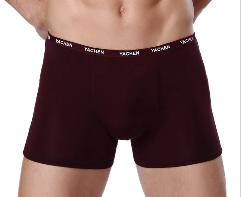 Bamboo Male Panties Sexy Underwear Men Cuecas Boxer New Fashion Boxer Shorts Mens Underware 4pcs/lot Free Shipping