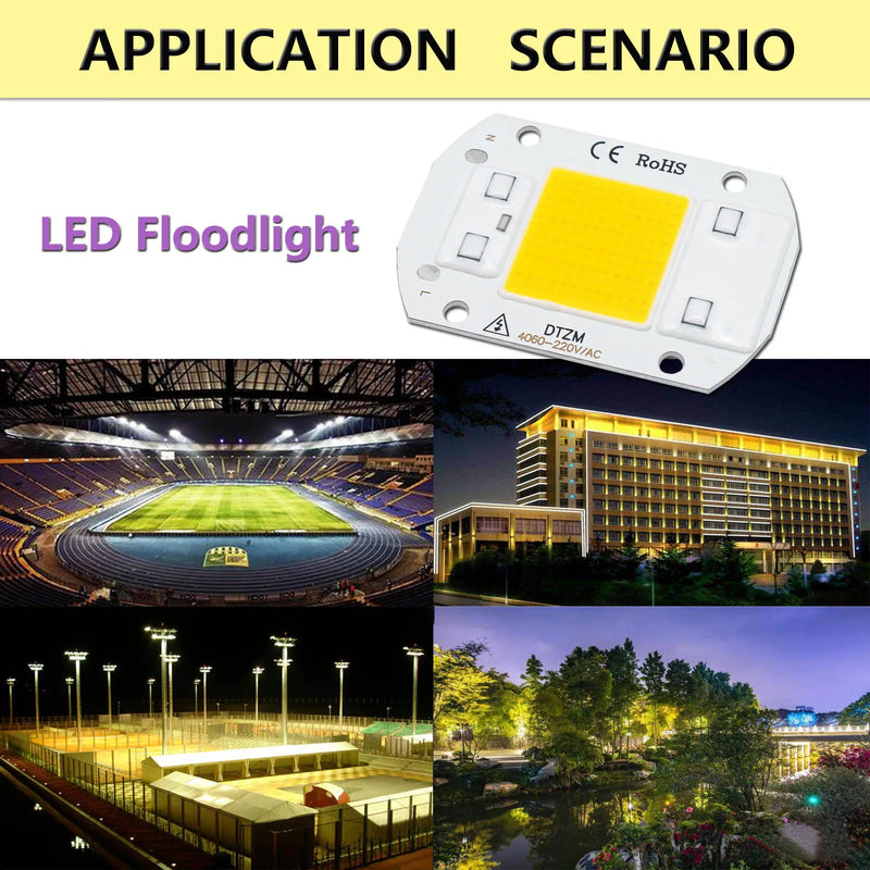 10W 20W 30W 50W AC220V  LED COB chip Engine Smart IC Chips For DIY LED Floodlight Spotlight Lamp