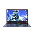 Elysian All-Round 16.1 Inch Gaming Laptop Computer RTX4050 6G Intel Core I9-13900H I9-10885H Windows11 RAM Max 64GB DDR4