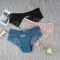 Women's Panties Sexy Lace Transparent Underwear Hollow Out Female Low Waist Briefs Breathable Lingerie Intimates Underpants