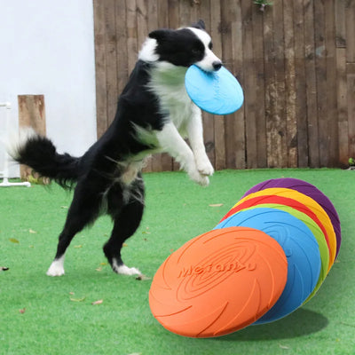 OUZEY Bite Resistant Flying Disc Toys For Dog | SAMAG
