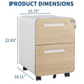 2 Drawer Mobile File Cabinet With Lock Under Desk Metal Rolling Filing Cabinets For Home Office Letters Legal A4 Fully Assembled