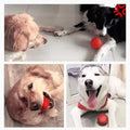 Dog Chew Toy Ball Elastic Rubber Solid Ball Anti-Chew For Outdoor Throwing Recovery Training Durable Bite-Resistant Rubber Ball