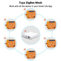 LoraTap ZigBee Shutter Switch Module Electric Motorized Curtain Blind Tuya Smart Life Roller Voice Control by Alexa Google Home