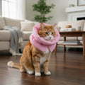 Waterproof Pet Elizabethan Collar Adjustable Anti-Bite Cat Protection Collars Warm Breathable Cat Recovery Cone Pet Wound