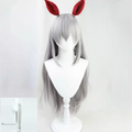 Cosplay Uma Musume Pretty Derby Tamamo Cross Wig Anime game party wig silver gray long straight wig ﻿