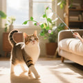 Creative Felt Kitten Cat Teaser Stick Flower Leaf Shaped Long Stick Teaser Cat Wand Cat Interactive Interactive Playing