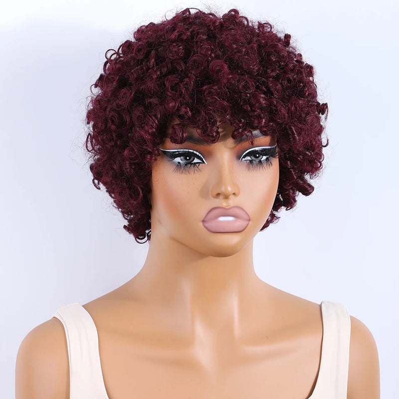 Lekker Black Short Pixie Cut Curly Bob 100% Human Hair Wigs For Women Brazilian Remy Hair Full Machine Made Glueless Daily Wigs