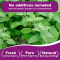 100% Natural Catnip and Pure Catnip for Your Furry Friend Taste Funny Cat Toy New Cat Toy Interactive Cat Toys Pet Supplies