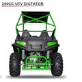 4 Wheeler Fangpower Hotsale Side By Side Cuatrimotos Buggy Kids Adult 250cc Utv 4x2 4x4
