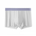Men Boxers Thin Breathable Soft Ice Silk Seamless Daily Wear Anti-septic High Elasticity Male Underpants Men Underwear