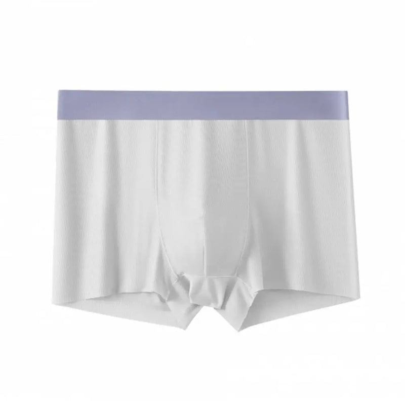 Men Boxers Thin Breathable Soft Ice Silk Seamless Daily Wear Anti-septic High Elasticity Male Underpants Men Underwear