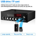 Woopker Audio Amplifier 2*100W HiFi Digital Stereo TPA3116 Bluetooth 5.3 Multifunction Dual Channel Power Amplifier Home Theater