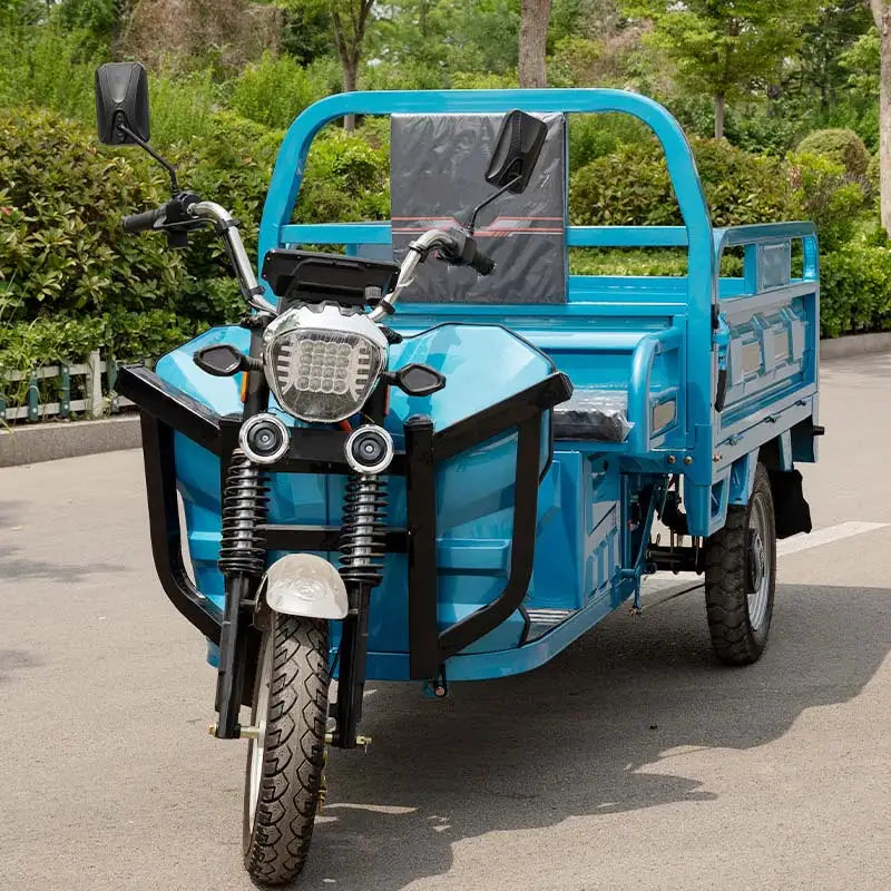Electric Freight Tricycle 3 Wheel Motorcycle 1000W Motor 400kg Payload Steel Frame 2 Passengers Long-distance Travel China