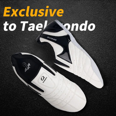 GINGPAI Breathable Taekwondo Shoes Karate Kung Fu | SAMAG