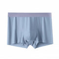 Men Boxers Thin Breathable Soft Ice Silk Seamless Daily Wear Anti-septic High Elasticity Male Underpants Men Underwear