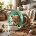 Anti Licking Pet Elizabethan Collar Soft Comfortable Cat Protective Collar Breathable Anti Scratch Anti Bite Collar