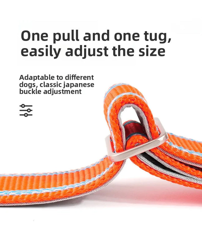 Adjustable Anti‑Escape Pet Collar with Buckle for Outdoor Walking Dog Leash Dog Rope for Dogs and Cats Neck Ring