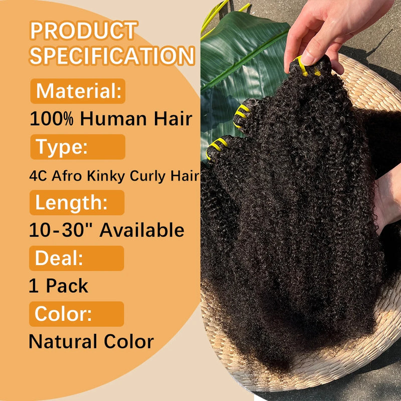 4C Afro Kinky Curly Hair Bundles 100% Raw Vietnamese Virgin Human Hair Extensions Cuticle Aligned Single Donor For Black Women