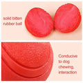 Dog Chew Toy Ball Elastic Rubber Solid Ball Anti-Chew For Outdoor Throwing Recovery Training Durable Bite-Resistant Rubber Ball