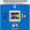 Mini wall amplifier Background music player Bluetooth sound control panel home audio amplificador with ceiling speaker