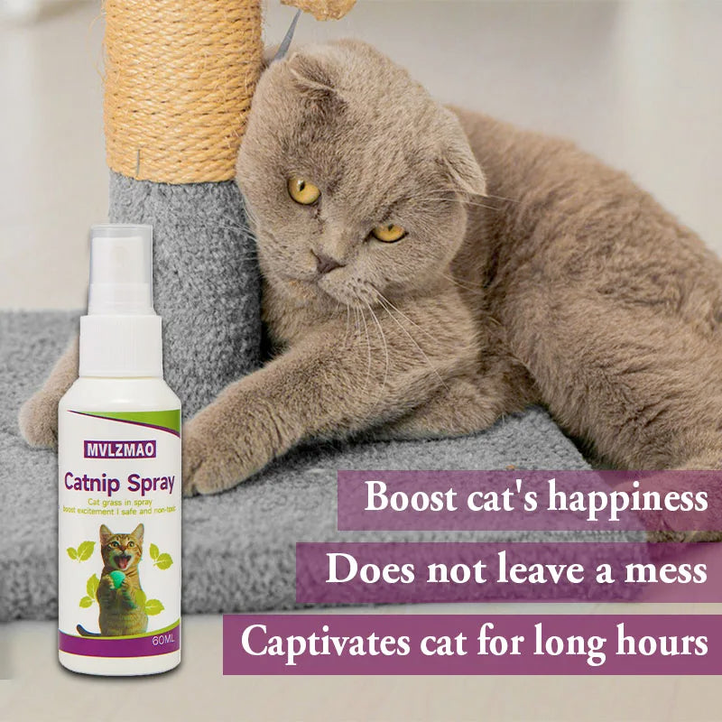 Catnip Spray for Cats,Cat Scratching Spray to Boost Play,Calm Stress & Renew Toys,Transparent Cat & Kitten Behaviour Spray 60 ml