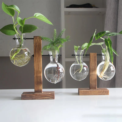 Creative Glass Desktop Planter Bulb Vase Wooden Stand | SAMAG