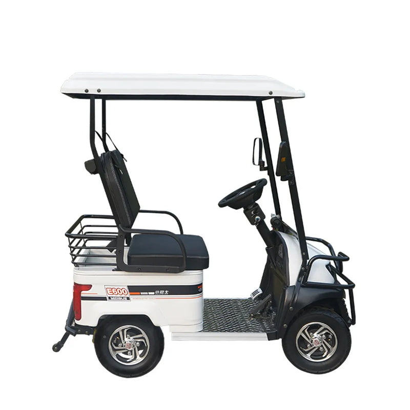 New 2 3 4 Seat Mini Bus Electric Four Wheeler With Roof Scenic Sightseeing Car Double Row Seat Scooter Electric Golf Cart