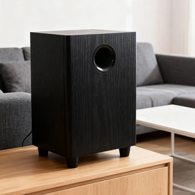 Home Theater Subwoofer 100W 6.5 Inch Independent Passive | SAMAG