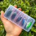 Cicada Crankbait Fishing Lures 3D Eyes Hard Plastic Bait | SAMAG