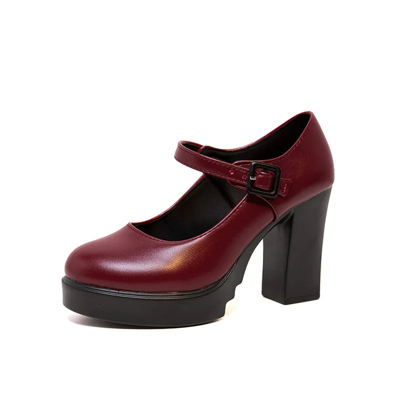 Women Mary Jane Shoes Trendy Comfortable Women's Shoes 2024 New Thick Heel Platform Women's High Heels