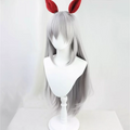Cosplay Uma Musume Pretty Derby Tamamo Cross Wig Anime game party wig silver gray long straight wig ﻿