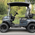 Electric Golf Cart with 2- Seats Compatible with Club Car 48V Battery  EEC Certified electric golf carsgolf buggy