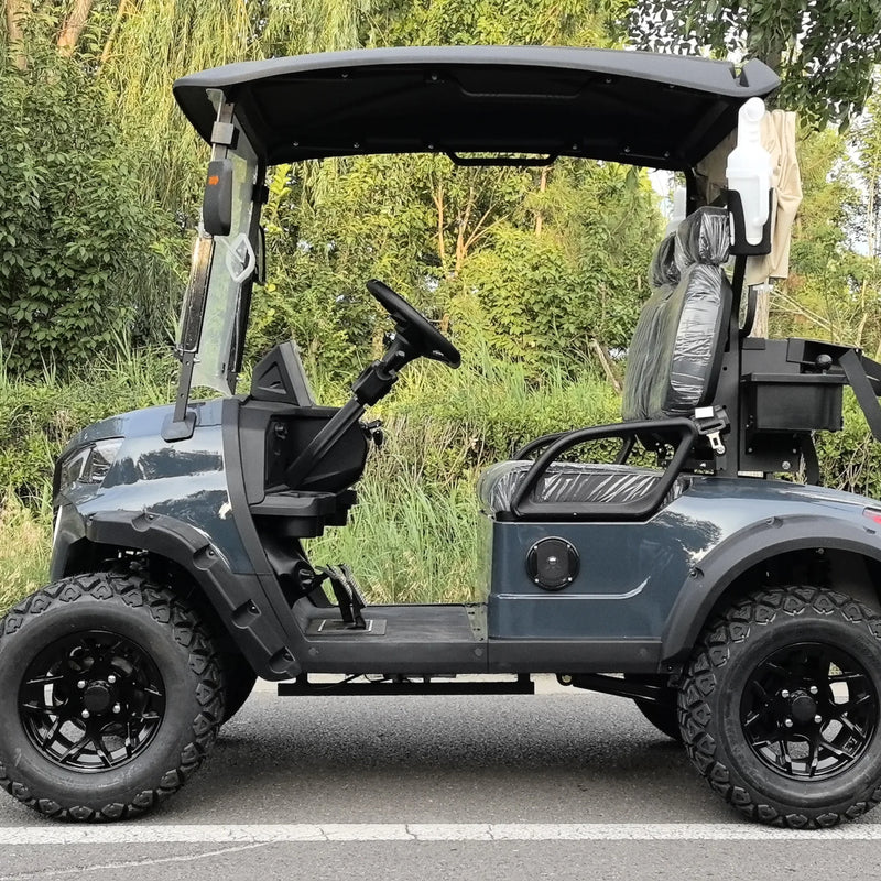 Electric Golf Cart with 2- Seats Compatible with Club Car 48V Battery  EEC Certified electric golf carsgolf buggy