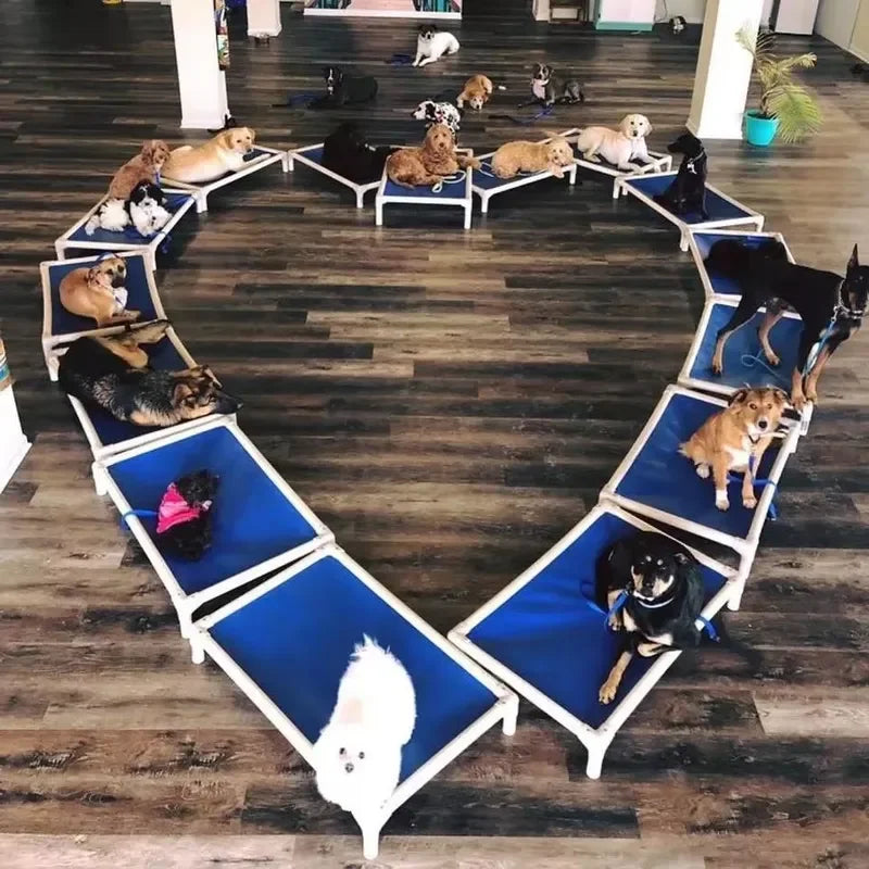 for Oxford Cloth Indestructible Elevated Dog Bed Chew Proof Durable Cat Furniture Elevated Dog Cat Bed Pet Sofa Large Dog Bed
