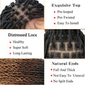 Ombre Faux Locs Wig with Baby Hair Square Part Full Lace Synthetic Braided Lace Front Wig Knotless Braided Wig with Curly Ends