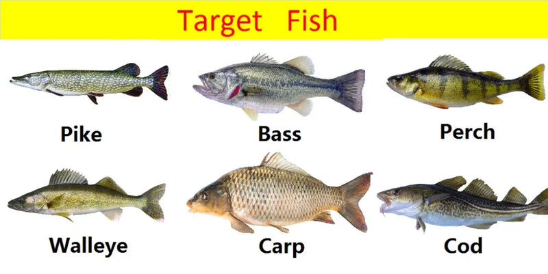 wLure Crankbait Fishing Lure 13g 9cm Medium Size 1-2 Meter Depth 3D Hard Vivid Eyes Tight Wobbler and High Frequent Action C735