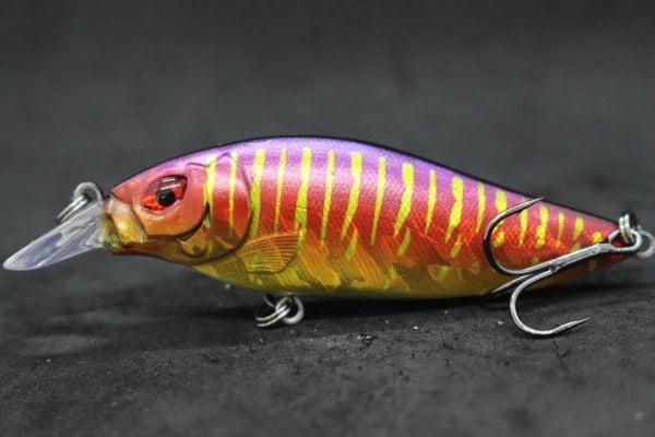 wLure Crankbait Fishing Lure 13g 9cm Medium Size 1-2 Meter Depth 3D Hard Vivid Eyes Tight Wobbler and High Frequent Action C735