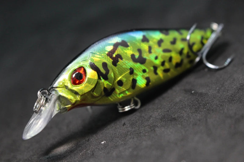 wLure Crankbait Fishing Lure 13g 9cm Medium Size 1-2 Meter Depth 3D Hard Vivid Eyes Tight Wobbler and High Frequent Action C735
