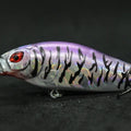wLure Crankbait Fishing Lure 13g 9cm Medium Size 1-2 Meter Depth 3D Hard Vivid Eyes Tight Wobbler and High Frequent Action C735