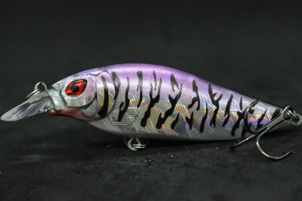 wLure Crankbait Fishing Lure 13g 9cm Medium Size 1-2 Meter Depth 3D Hard Vivid Eyes Tight Wobbler and High Frequent Action C735