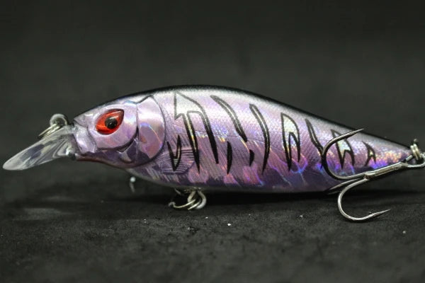 wLure Crankbait Fishing Lure 13g 9cm Medium Size 1-2 Meter Depth 3D Hard Vivid Eyes Tight Wobbler and High Frequent Action C735