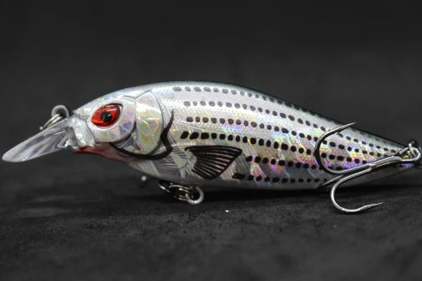 wLure Crankbait Fishing Lure 13g 9cm Medium Size 1-2 Meter Depth 3D Hard Vivid Eyes Tight Wobbler and High Frequent Action C735